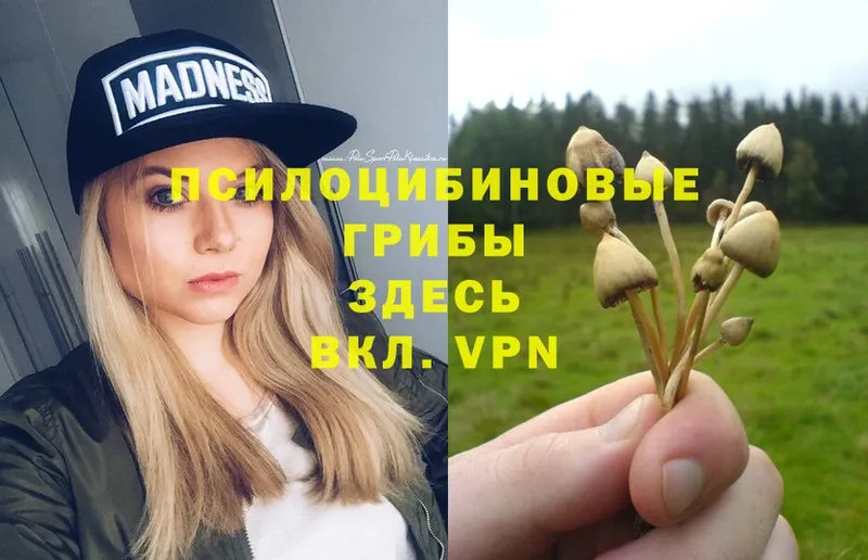 мега как зайти  Изобильный  Псилоцибиновые грибы Magic Shrooms  купить наркоту 